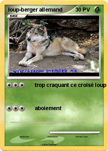 Pokemon loup-berger allemand