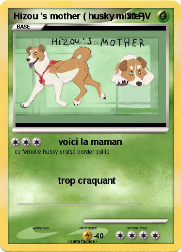 Pokemon Hizou 's mother ( husky mixte )