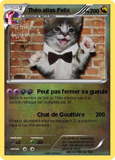 Pokemon Théo alias Felix