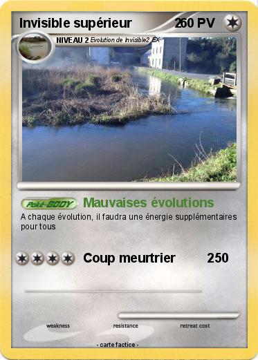 Pokemon Invisible supérieur            2