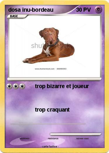 Pokemon dosa inu-bordeau