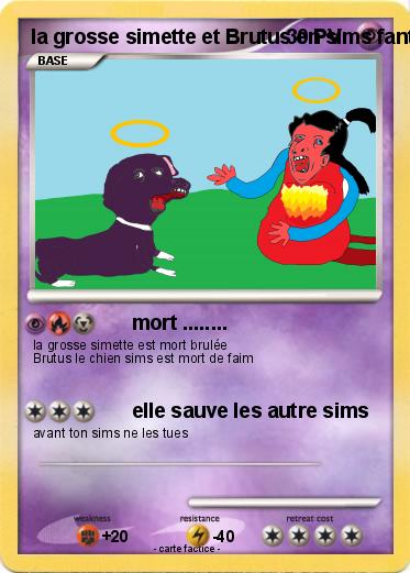 Pokemon la grosse simette et Brutus en sims fantôme ( sims 3 animaux & cie 3DS