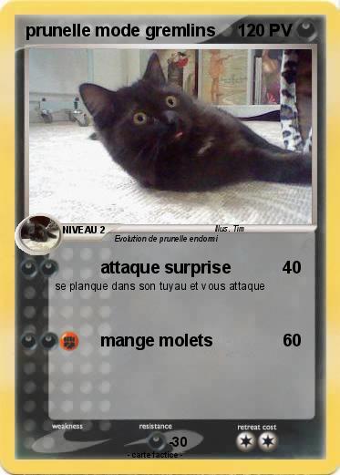 Pokemon prunelle mode gremlins