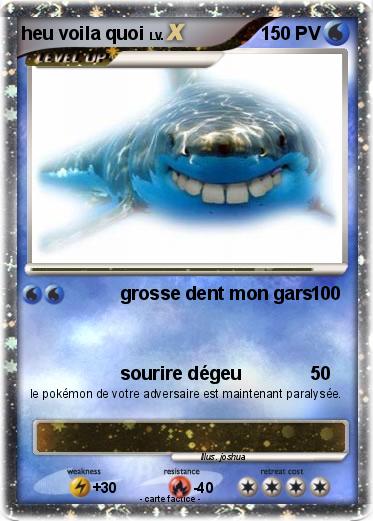 Pokemon heu voila quoi