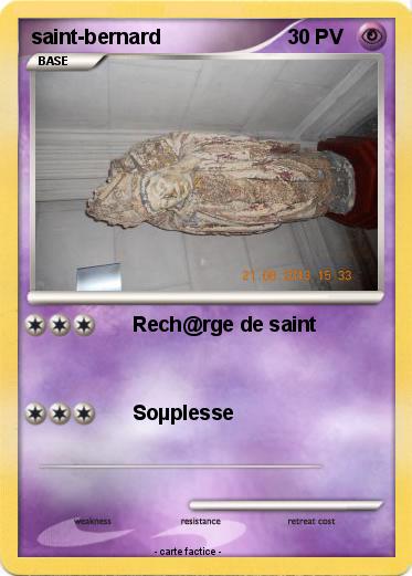 Pokemon saint-bernard