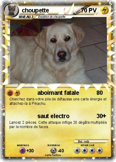 Pokemon choupette