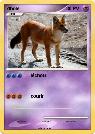 Pokemon dhole