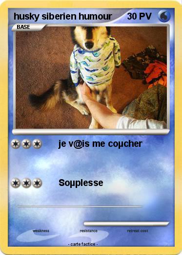 Pokemon husky siberien humour