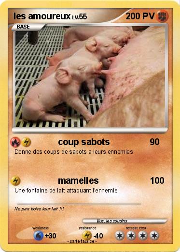 Pokemon les amoureux