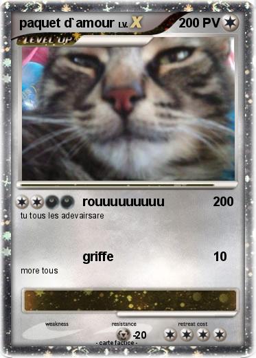 Pokemon paquet d`amour