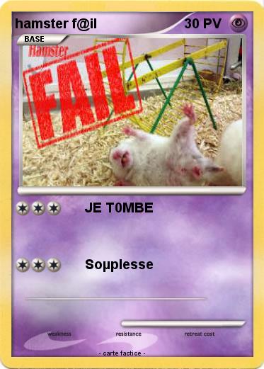 Pokemon hamster f@il