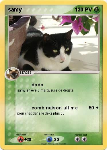 Pokemon samy