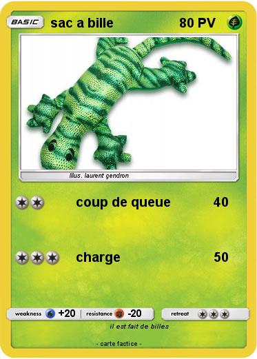 Pokemon sac a bille