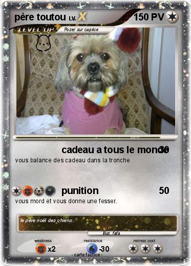 Pokemon père toutou