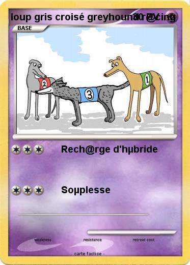 Pokemon loup gris croisé greyhound r@cing