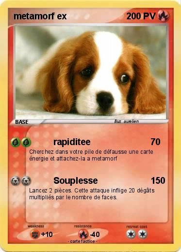 Pokemon metamorf ex