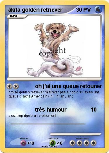 Pokemon akita golden retriever