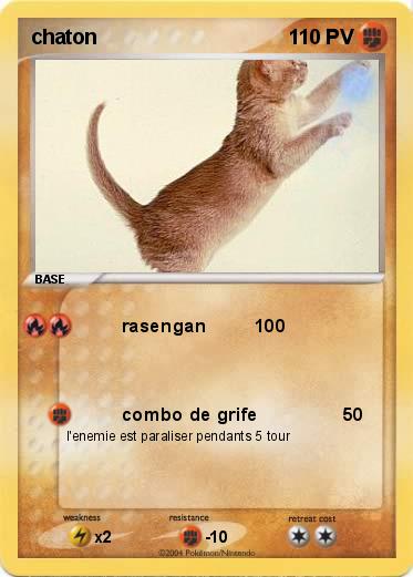 Pokemon chaton 