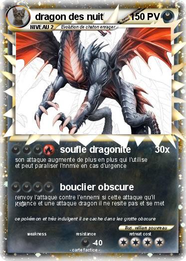 Pokemon dragon des nuit