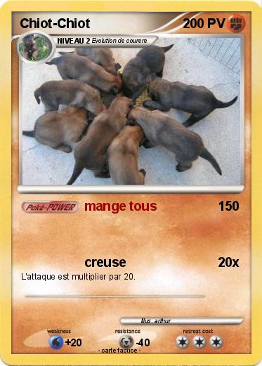 Pokemon Chiot-Chiot