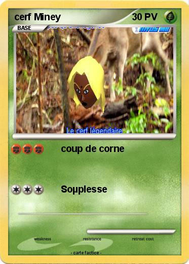 Pokemon cerf Miney