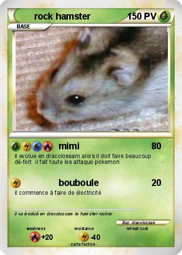 Pokemon rock hamster
