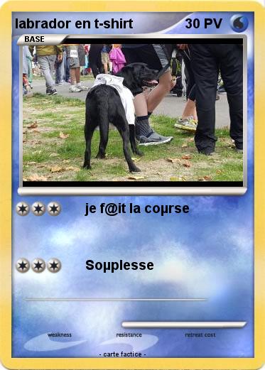 Pokemon labrador en t-shirt