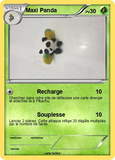 Pokemon Maxi Panda