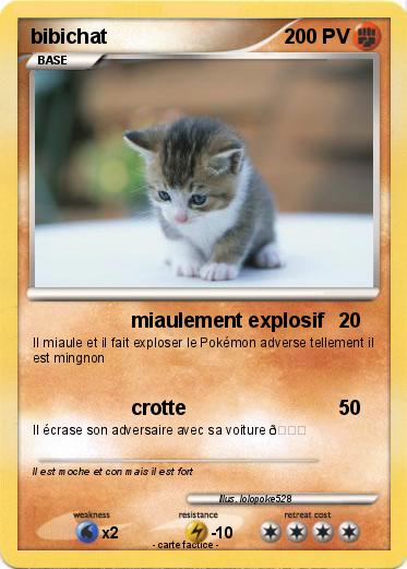 Pokemon bibichat
