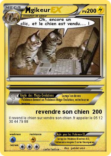 Pokemon gikeur