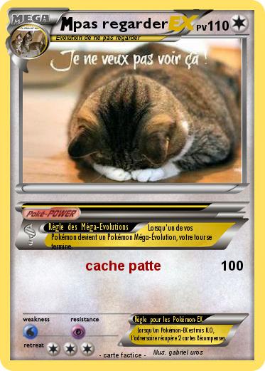 Pokemon pas regarder