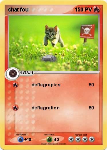 Pokemon chat fou