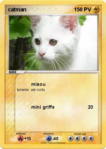 Pokemon catman