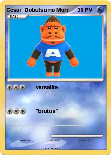 Pokemon César  Dōbutsu no Mori