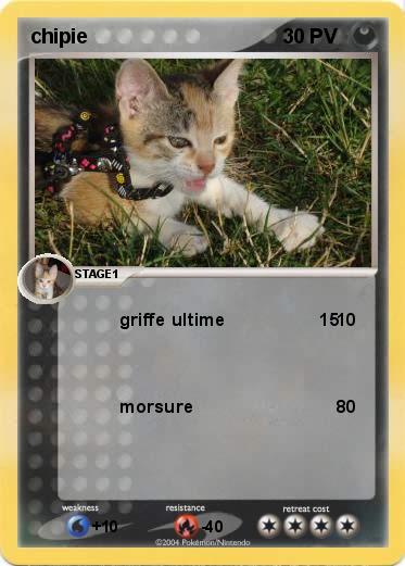 Pokemon chipie