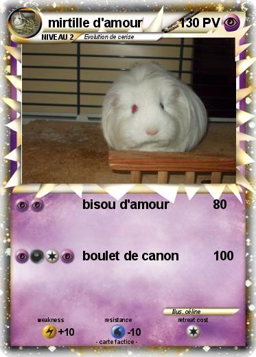 Pokemon mirtille d'amour