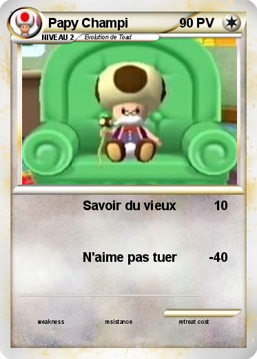 Pokemon Papy Champi
