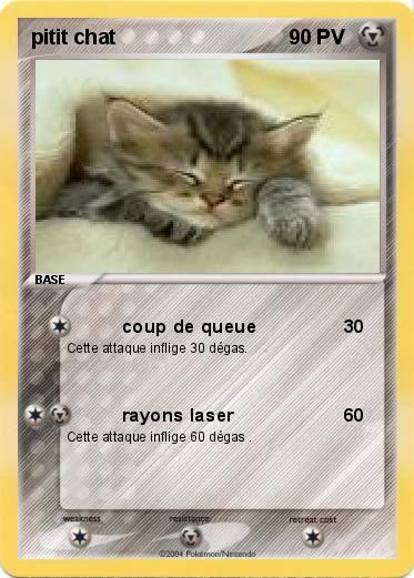 Pokemon pitit chat