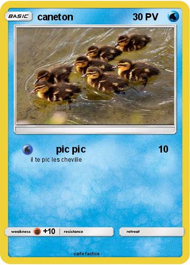 Pokemon caneton
