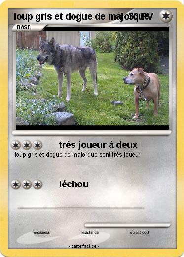 Pokemon loup gris et dogue de majorque