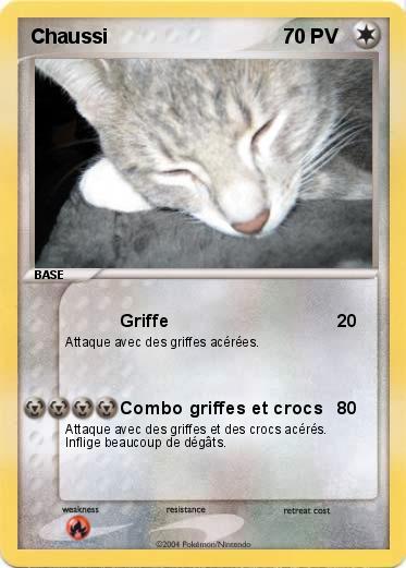 Pokemon Chaussi