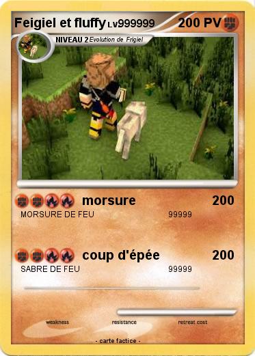 Pokemon Feigiel et fluffy