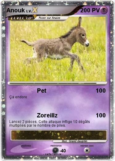 Pokemon Anouk