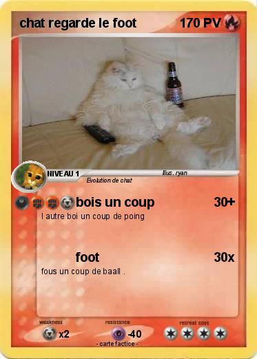 Pokemon chat regarde le foot
