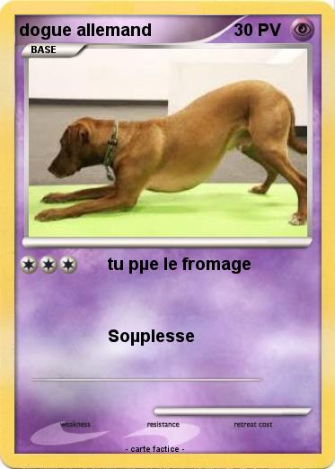 Pokemon dogue allemand