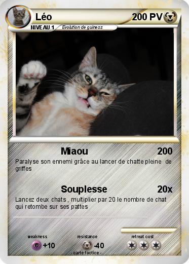 Pokemon Léo