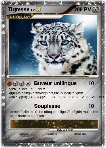 Pokemon Tigresse