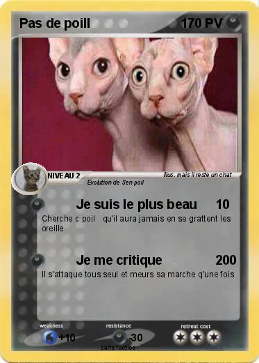 Pokemon Pas de poill