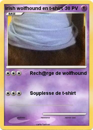 Pokemon irish wolfhound en t-shirt