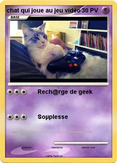 Pokemon chat qui joue au jeu vidéo
